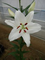 [5365 Sotsji DJ No01.JPG]